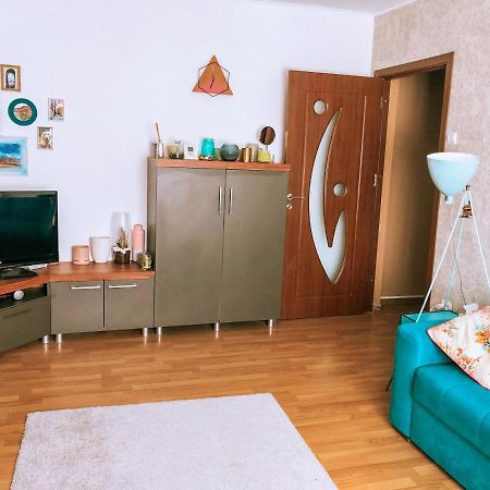 Cozy Apartment Bukovina Suczawa Zewnętrze zdjęcie