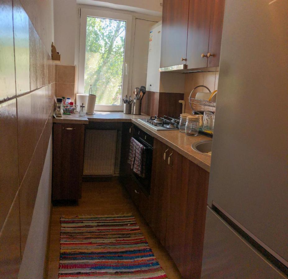 Cozy Apartment Bukovina Suczawa Zewnętrze zdjęcie